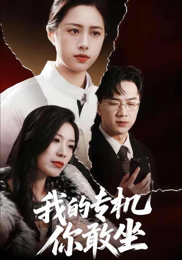 我的专机你敢坐(全集)