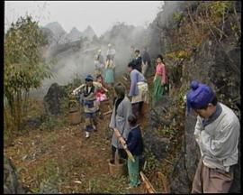 鱼公主红鲤公主(全集)